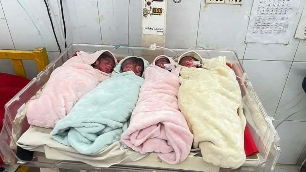 একসঙ্গে চার সন্তানের জন্ম দিলেন টাঙ্গাইলের এক গৃহবধূ